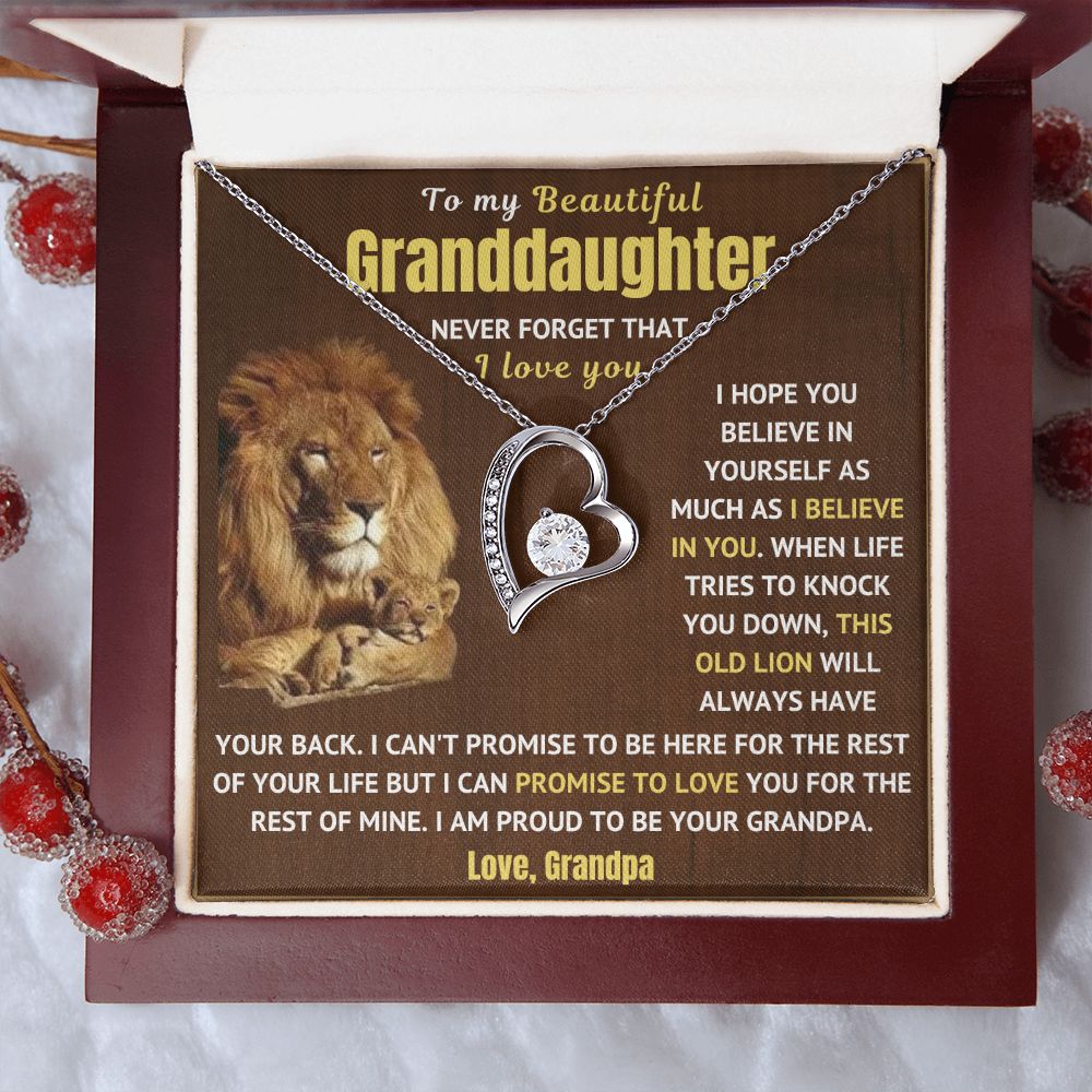 Granddaughter Necklace - Never Forget I Love You (p.1.fl)