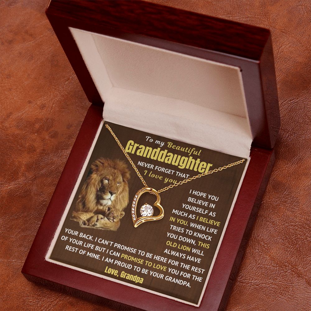 Granddaughter Necklace - Never Forget I Love You (p.1.fl)