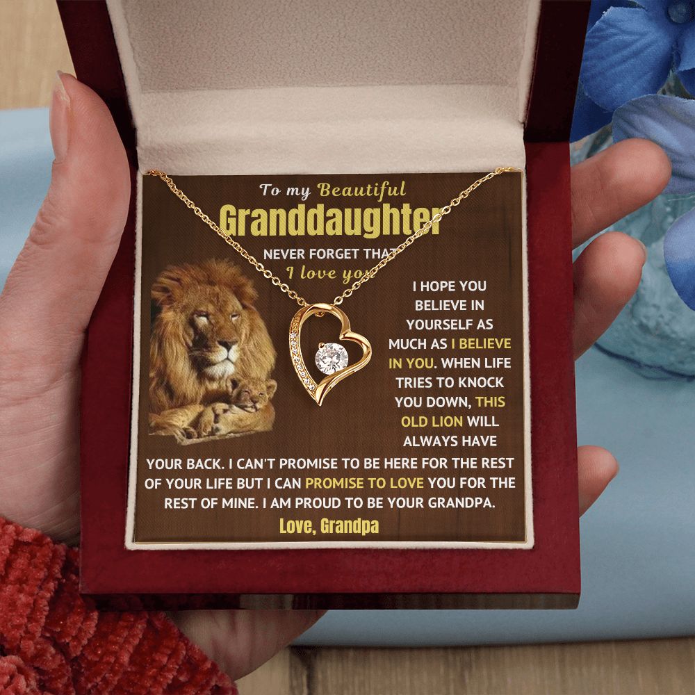 Granddaughter Necklace - Never Forget I Love You (p.1.fl)