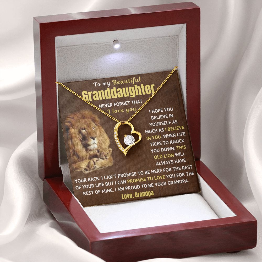 Granddaughter Necklace - Never Forget I Love You (p.1.fl)
