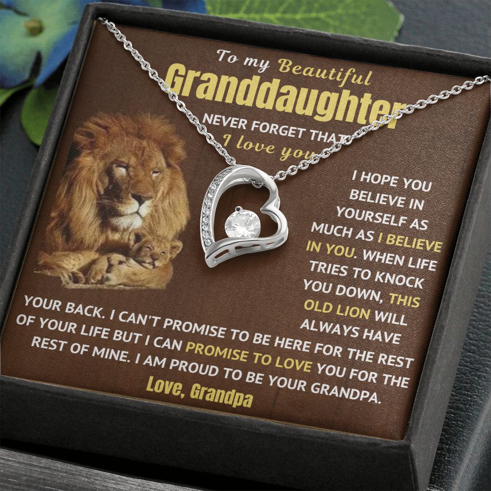 Granddaughter Necklace - Never Forget I Love You (p.1.fl)