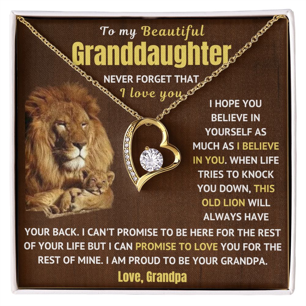 Granddaughter Necklace - Never Forget I Love You (p.1.fl)