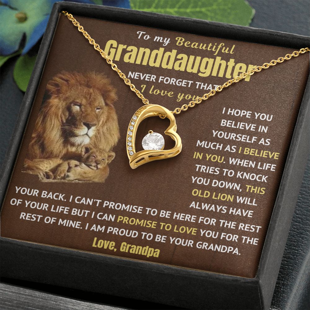 Granddaughter Necklace - Never Forget I Love You (p.1.fl)