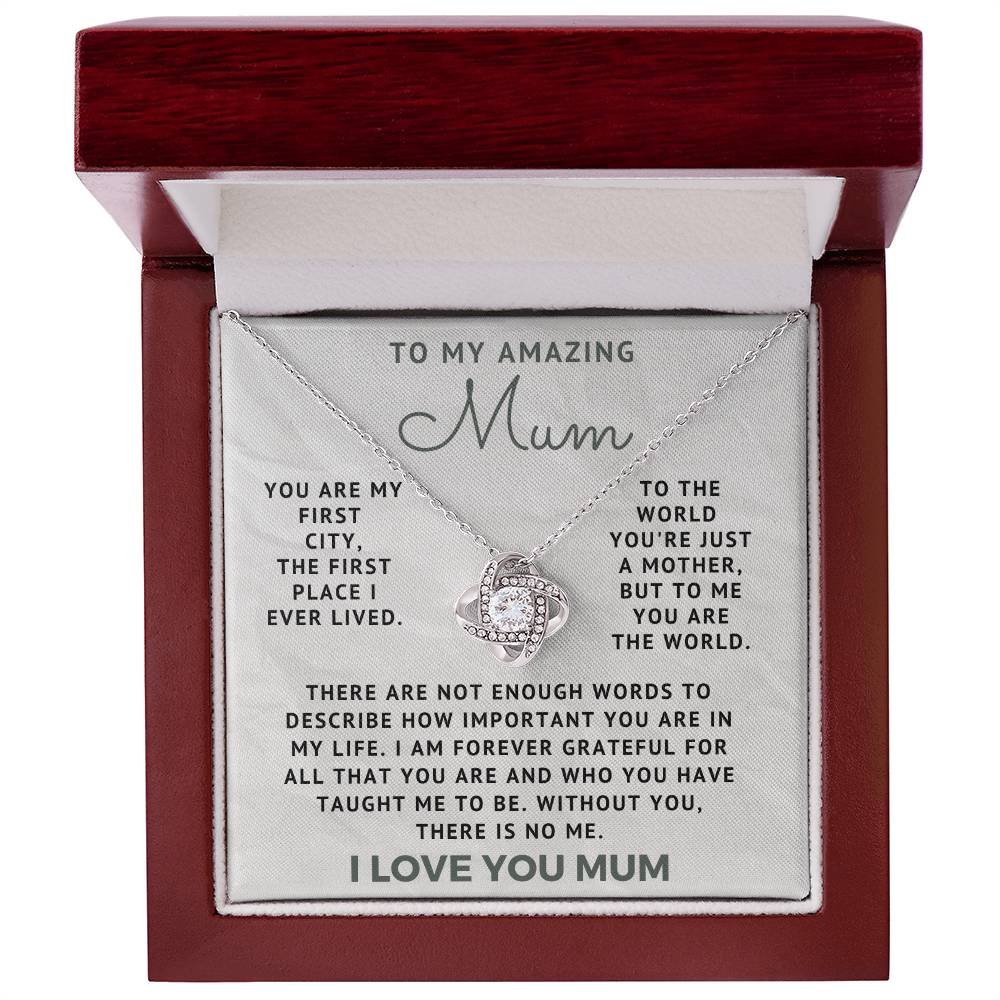 To My Amazing Mum - Not Enough words To Describe You (m.005.lk)