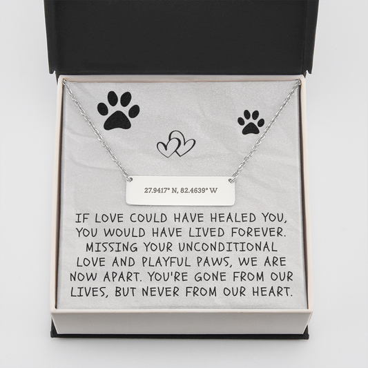 Pet Remembrance Horizontal Bar Coordinates Necklace - If love could have healed you