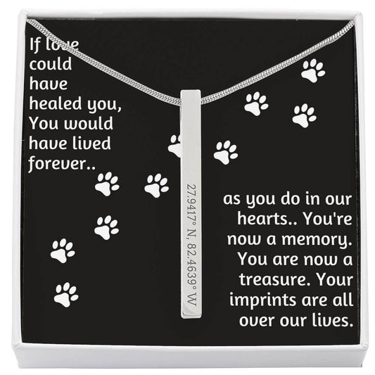 Cat Remembrance Vertical Stick Coordinates Necklace - If love could have healed you