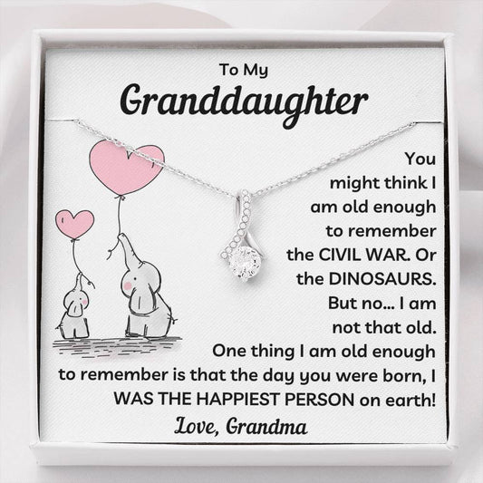 My Granddaughter Necklace - The Day You Were Born I Was The Happiest Person (162.al.41)