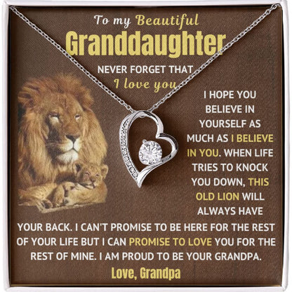 Granddaughter Necklace - Never Forget I Love You (p.1.fl)